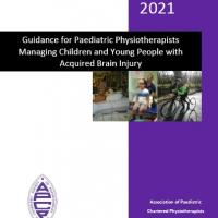 Guidance for Paediatric Physiotherapists Managing Children and Young People with Acquired Brain Injury
